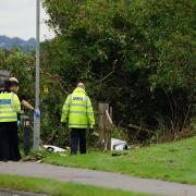 A woman has died in a crash in Pevensey