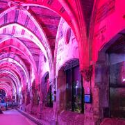 Sea Life centre lights up red and white for the Lionesses