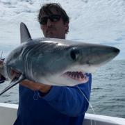Nick Williams with the Porbeagle Shark (Brigandcharters.com)