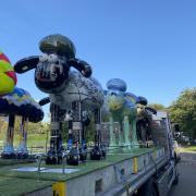 Dozens of Shaun the Sheep sculptures have been placed across Brighton and Hove for the art trail