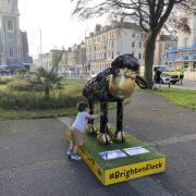 Visitors of all ages are expected to flock across the city to see the ewe-niquely designed sculptures
