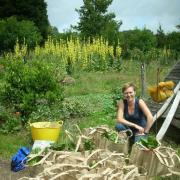 Emily O’Brien with bags of produce harvested as part of the community Veg Share project at Stanmer Organics in Brighton