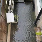 People claim their back gardens fill with water due to poor drainage after heavy rain