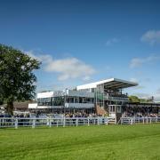Plumpton will sign off for the season in style