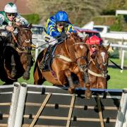 Tom Cannon guides Forever William home in the feature race at Plumpton