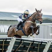 Stanley Pincombe is guided home by Molly Landau at Plumpton