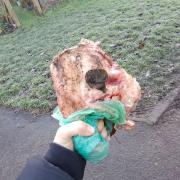 Meat keeps being left in Vale Park in Portslade