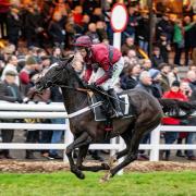 Lady D’Arbanvile and Nico de Boinville wrap up the festive raceday in style before packed stands at Plumpton