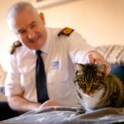Dermot Murphy with rescue cat