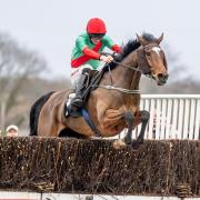 Dom Of Mary wins the Sussex National at Plumpton