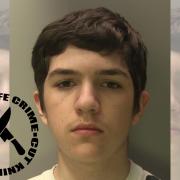 Thomas Waeling, 18, was jailed for 13 years on Friday for stabbing a complete stranger in broad daylight in Hastings