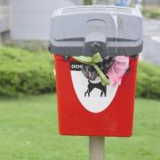 The council has said bags of cat litter and nappies have been left around dog waste bins