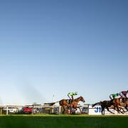A glorious scene from Plumpton as the course celebrates its 140th anniversary