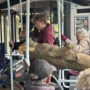 Updates after 'tree falls' onto bus