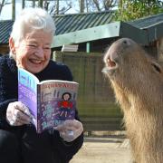 Jacqueline Wilson reading to a capybara