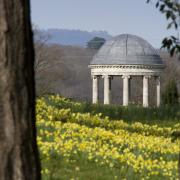 Petworth House will launch its Spring Festival later this month