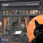 Munchies Cat Cafe will be opening in Brighton