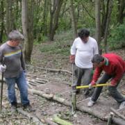 The CVCA team working in the woods