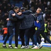 Albion v Nottingham Forest at the Amex on March 10. Brighton head coach Roberto De Zerbi and his assistant Andrea Maldera celebrate after the final whistle .