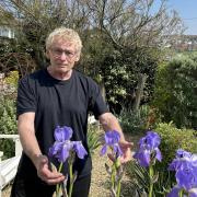 Geoff and the irises