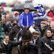 Energumene has options ahead of Cheltenham