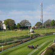Brighton Racecourse