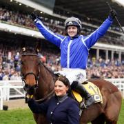 Poniros was a 100-1 winner at Cheltenham,