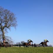 Amateur riders were given seven-days bans following confusion at Plumpton