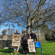 Protesters have been taking a stand beneath two trees that are due to be felled
