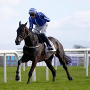 Energumene had a good win at Fairyhouse