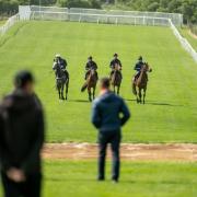 Horses and jockeys test the course at Brighton