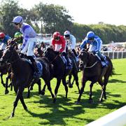 Venetian Sun (right of picture) gives chase to winner Comanche Brave