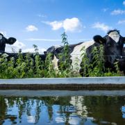 The livestock register has been developed following lessons learned from previous water supply interruptions and feedback from livestock owners.