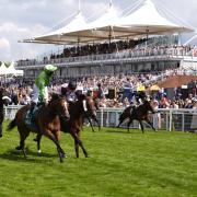 Jm Jungle ridden by Jason Hart (centre, green silks) celebrates winning the King George Qatar Stakes last year