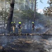 Live updates as eight fire engines rush to blazing wild fire