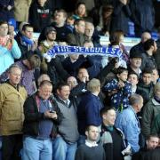 Brighton and Hove Albion fans at the match on Saturday