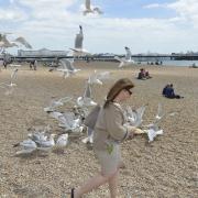 A woman protects her food from seagulls on Brighton beach