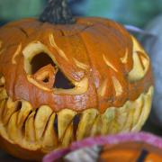 The council is telling people to ditch traditional pumpkins