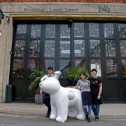 Sparky the Snowdog arrives at Bill's in Brighton to meet some of the team Picture: Liz Finlayson/Vervate
