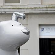 Snowdog sponsor Griffith Smith Farrington Webb is organising a selfie challenge of the charity art trail Picture: Liz Finlayson