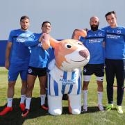 Rose the Snowdog with Seagulls players Tomer Hemed, Anthony Knockaert, Bruno Saltor and Lewis Dunk Picture: Paul Hazlewood