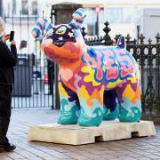 Smart Vibes Snowdog attracting an admirer outside Brighton Railway Station Picture: Simon Dack