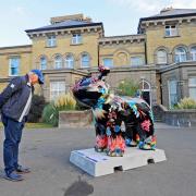 Max the Snowdog pride of place in front of Hove Museum Picture: Simon Dack