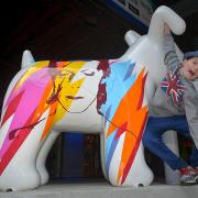Riley Jones, 10, of Brighton, hanging around Bow Wow the David Bowie Snowdog Picture: Susannah Binney