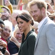 A Conservative MP has proposed a law to strip Prince Harry and Meghan Markle of their royal titles