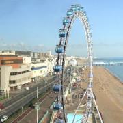 The Brighton O plans