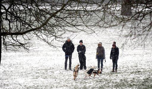 Dog walkers out in the snow in Queens Park Brighton this morning
