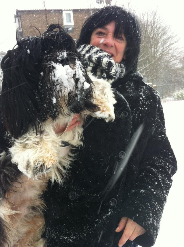 Reader's pic sent in by Tina with her dog Paddy.
Send us your snow photos by emailing them to news@theargus.co.uk or text them by texting SUPIC to 80360