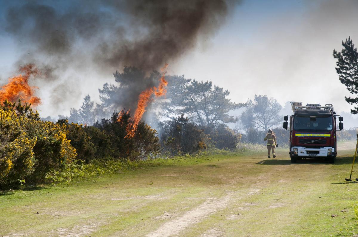 Firefighters from 23 fire stations spanning East Sussex, West Sussex and Kent came together to fight a giant fire at Ashdown Forest on June 5. (pic: Eddie Howland)