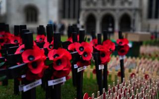 Cash injection for Remembrance Day events to improve 'insufficient' funding